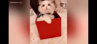 很满意，穿上很舒服，这是第三次回顾了