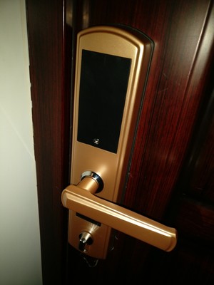 揭秘良心评价伊莱诗指纹锁好不好,伊莱诗指纹锁怎么样,很好吗