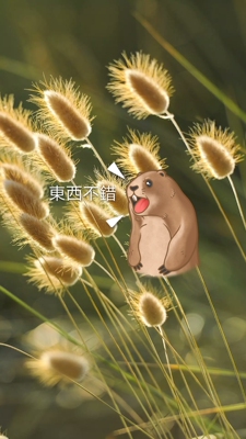 淘宝几年才知道原来评论85个字才会有积分。终于收到我需要的宝贝了,听说好评必须85字?不然没有积分?那么问题来了,怎么样才可以达到85字呢?这个问题在我的脑海里久久不去。朕很懶不想每一件商品都一样一样地去写好评,所以特意写了这样一个评论。你会发现我每一家都是这么写的。因为复制一下就好了。从今天到以后,这段话走到哪里就会复制到哪里。 淘宝几年才知道原来评论85个字才会有积分。终于收到我需要的宝贝了,听说好评必须85字?不然没有积分?那么问题来了,怎么样才可以达到85字呢?这个问题在我的脑海里久久不去。朕很懶不想每一件商品都一样一样地去写好评,所以特意写了这样一个评论。你会发现我每一家都是这么写的。因为复制一下就好了。从今天到以后,这段话走到哪里就会复制到哪里。