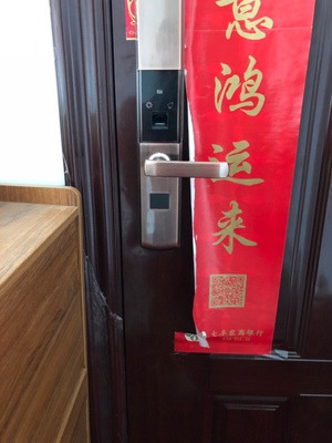 分析木工师傅解说晶思达指纹锁怎么样，安全系数高吗，真实评测