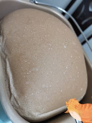 十万人说柏翠PE8870家用面包机怎么样?不看别后悔哦?