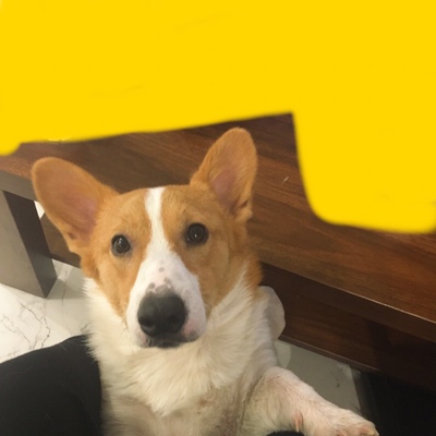 一直买的这个牌子，之前都是实体店买的，这次网上购买非常满意，跟实体店的是一毛一样的~~~~~~~~~~~~~一直买的这个牌子，之前都是实体店买的，这次网上购买非常满意，跟实体店的是一毛一样的~~~~~~~~~~~~~一直买的这个牌子，之前都是实体店买的，这次网上购买非常满意，跟实体店的是一毛一样的~~~~~~~~~~~~一直买的这个牌子，之前都是实体店买的，这次网上购买非常满意，跟实体店的是一毛一样的~~~~~~~~~~~~~~