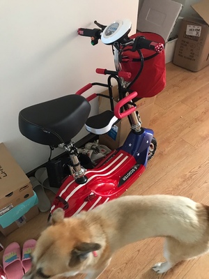 【揭秘】emicro小海豚电动车怎么样,适合女生吗?电池续航能力好吗