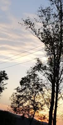 活动给力性价比超高必须好评以前几乎都没有认真评价过不知道浪费多少积分听说评价超过一百个字有送积分基本_上每个星期都有会光顾统一评价淘宝购物实在是太方便了根本停不下来从此以后买生活用品第一一个想到的就是淘宝  都是正品一开始还担心  现在都习惯了真心不错的  以后还要多多给优惠哦下次还会再来的都逛上瘾了呵呵呵呵呵呵  还是很不错的价位便宜东西又很多好评  物流迅速物美价廉重要的事情要说三遍  好评好评好评  哈哈