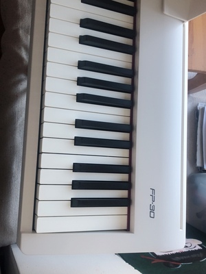 真实参考对比Roland罗兰 电钢琴fp30怎么样?不看的都后悔了!