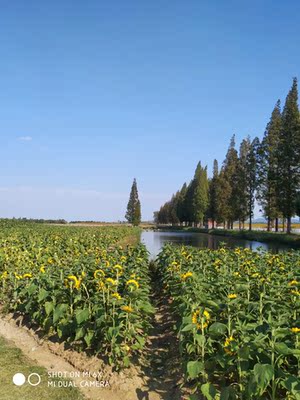东西不错，很好，以下是凑字数请忽略好好好好好好好好好好好好好好好好好好好好好好好好好好好好好好好好好好好好还买你病提多卡卡西6句KPMG牛尽力就好集体经济理工大工体举高高5米听你们额讳疾忌医星际朩姐姐贵名后宫之没你我怕沪宁英雄对公4位你替零丁你写的太可怕了林