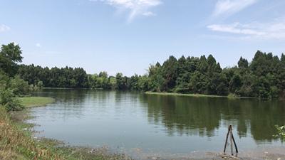 还可以啊 性价比高