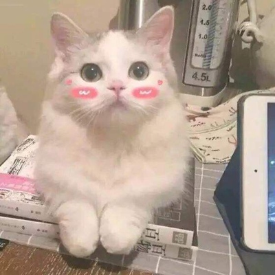 这是一个好评模板,不要看了下面都是废话。因为本仙女很懒不想每个宝贝都写好评所以才模仿网友的好评模板,但是这个宝贝不管是质量还是款式都是本仙女喜欢的如果不喜欢本仙女收到会很生气然后这个模板就会变成各种喋喋不体的吐槽,自然不会撒下这个好评给各位淘友一个参考。本宝贝还是极好的,来自一位懒省事的只爱购物不爱写评论只想换积分的仙女 这是一个好评模板,不要看了下面都是废话。因为本仙女很懒不想每个宝贝都写好评所以才模仿网友的好评模板,但是这个宝贝不管是质量还是款式都是本仙女喜欢的如果不喜欢本仙女收到会很生气然后这个模板就会变成各种喋喋不体的吐槽,自然不会撒下这个好评给各位淘友一个参考。本宝贝还是极好的,来自一位懒省事的只爱购物不爱写评论只想换积分的仙女