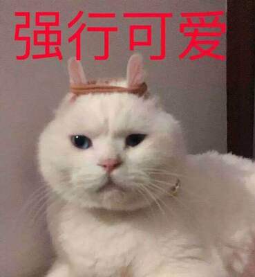 质量挺好的,款式也可爱,就是我没法穿,对没错,最小的尺码也空杯,我很难受 质量挺好的,款式也可爱,就是我没法穿,对没错,最小的尺码也空杯,我很难受