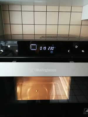 点评大伙说下美国西屋3001C蒸烤箱怎么样,烤东西好吃吗