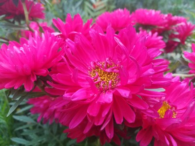 质量挺好的,样式也好看,下次再来购买 质量挺好的,样式也好看,下次再来购买