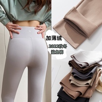 Thin fluffy shark pants in autumn and winter high waist and warmer underpants wearing thickened buttocks yoga barbie pants