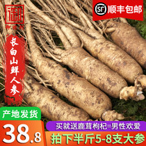 (Sliver goods big fresh ginseng 500g 10 pieces) with soil fresh ginseng northeast Changbai mountain ginseng wine soup