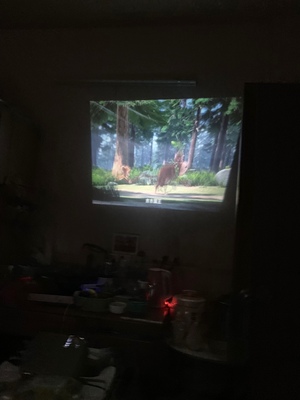 用户点评图文点评狼群T5投影仪怎么样，狼群投影仪是杂牌吗