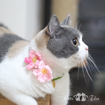 Pet cute cat Japanese style cherry blossom collar hanging bow tie Cat cat dog wool handmade cute photo