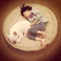 Can be customized embroidered pet round cushion Dadi Corky small dog I am a small dog