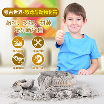 Foreign Trade Export Educational Dinosaur Archaeological Excavation Toys Children's Science Assembled Simulation Dinosaur Fossil Bone Model