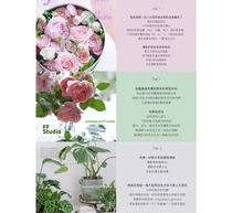 Floral home still life Four-day photography (camera)offline class