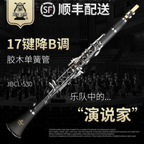 Zingbao JBCL-530 501601 professional single spring pipe musical instrument drop b tuning beginner level playing black pipe musical instrument