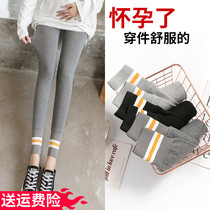 Pregnant women leggings spring pregnancy belly pants autumn fashion tide mother wear trousers spring and autumn cotton pants