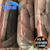 Beijing Flashes Alive Sea Intestines Fresh Seafood Fresh Sayworms Sea Anemone Sea Sausage Aquatic