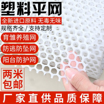 Plastic flat mesh Sub safe Chicken Nets Encrypted Nets Fishpond Isolated Nets Balcony Plastic Grid mesh