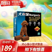 Canine heart protection Small dog whole box of dog body deworming Dog heartworm roundworm hookworm deworming tablets