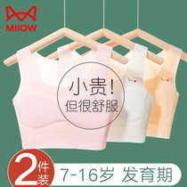 Cat Girl Girl Girl Underwear Hair Birth Primary School Children Children Great Boy Little Vest Girl 12 2nd stage Summer