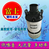 Fuji Brocade Carp Pool Submersible Pump Pumps Large Flow Pumps 100W150W200W300W Circulation Pumps