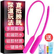 Horse saccade egg student virgin male with ultra-fine penis urethral stimulation silent vibration plug nail electric masturbation device