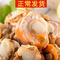 (Regular hair) 3 Jin 128 yuan fresh scallop meat frozen fresh fresh seafood garlic vermicelli fan scallop meat