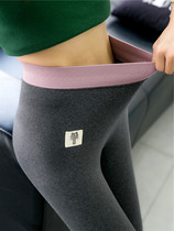 Japan Beats Bottom Pants Woman Outside Wearing Autumn Winter Style High Waist Display Slim Pure Cotton Inside Wearing New Autumn Pants Woman Thickened Garnter Pants