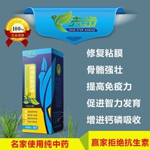 Rural Uncle Da took the first step in pigeon medicine fish oil aminopeptide solution respiratory tract intestinal mucosal repair to promote nutrition and health care
