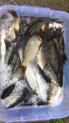 目前看来特别关注客友鱼竿怎么样,这个是哪里的牌子的?杂牌吗