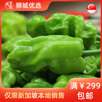 (Vegetable) wrinkled pepper tiger skin 1kg Singapore local delivery