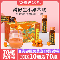 Sea buckthorn puree Inner Mongolia Plateau small fruit sea buckthorn juice stock juice Juice 100 original pulp official flagship store