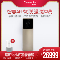 Casarte Smart Whole House Water Purifier Automatic Flush Central Water Purifier Internet of Things CWP30-JS(GD)(U1)