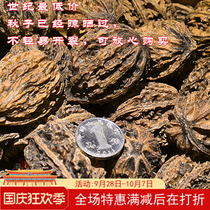 Wild size Qiuzi random hair play walnut currency lantern lion head recommended a catty