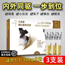 Big pet small dogs with in vitro anthelmintics drops pet dog Teddy in addition to fleas in vivo and in vivo