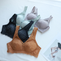 Wang Xiaotaro self-leaving with matching South Korean Yashithin cotton cup large breasted with small steel ring without dropping shoulder bra w207