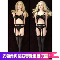 1: 6 female soldiers uniform PH UD JO HS Female Soldiers Black Lace Underwear Harness Socks Suit Spot