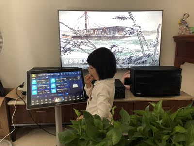 如何评价B&O Beoplay A9 3rd 三代星辰蓝牙音箱怎么样，音质真的好吗？