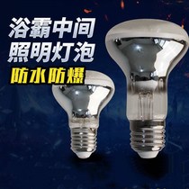 Bath bully lighting bulb middle 40W warm light led waterproof small animal light source warm and insulated screw blast for home