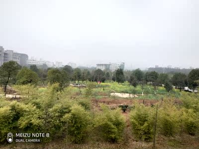 达人谈感受魅族手机note8怎么样，评测究竟怎么样呢