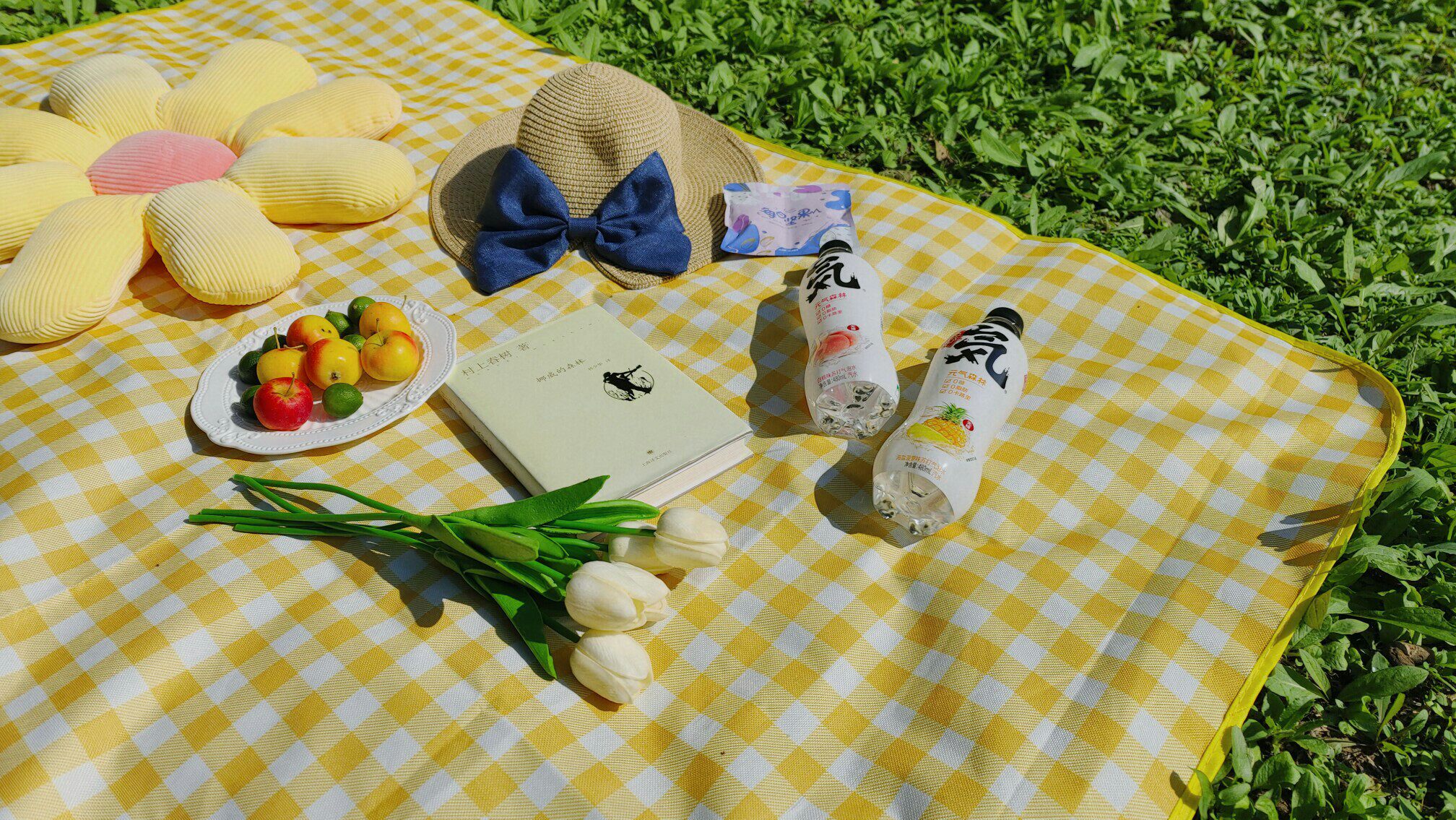 野餐垫挺大的,铺开够好几个人坐,防水防潮,特别好看拍照上镜,享受大