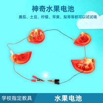 Fruit battery experimental material science diy potato power generation Childrens Technology small production small invention student toy