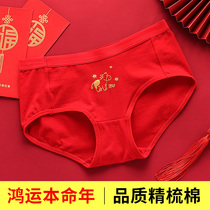 Girls birth year red underwear 12 years old ox childrens cotton triangle shorts girl cattle girl 13 big boy