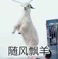 可以可以 很舒糊 喜欢 经常活动吧 我会回购 可以可以 很舒糊 喜欢 经常活动吧 我会回购 可以可以 很舒糊 喜欢 经常活动吧 我会回购 可以可以 很舒糊 喜欢 经常活动吧 我会回购 可以可以 很舒糊 喜欢 经常活动吧 我会回购