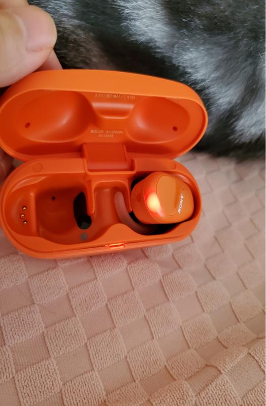 索尼wfsp800n怎么样，索尼wfsp800n评测