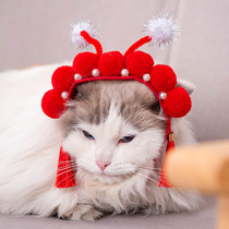 Net red trembles with pet cat headgear funny funny cat hat cute headdress dress up dog supplies